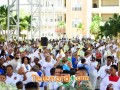 imagen00305