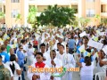 imagen00307