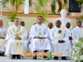 imagen00333