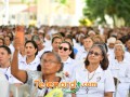 imagen00364