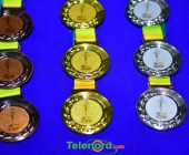 telenord011